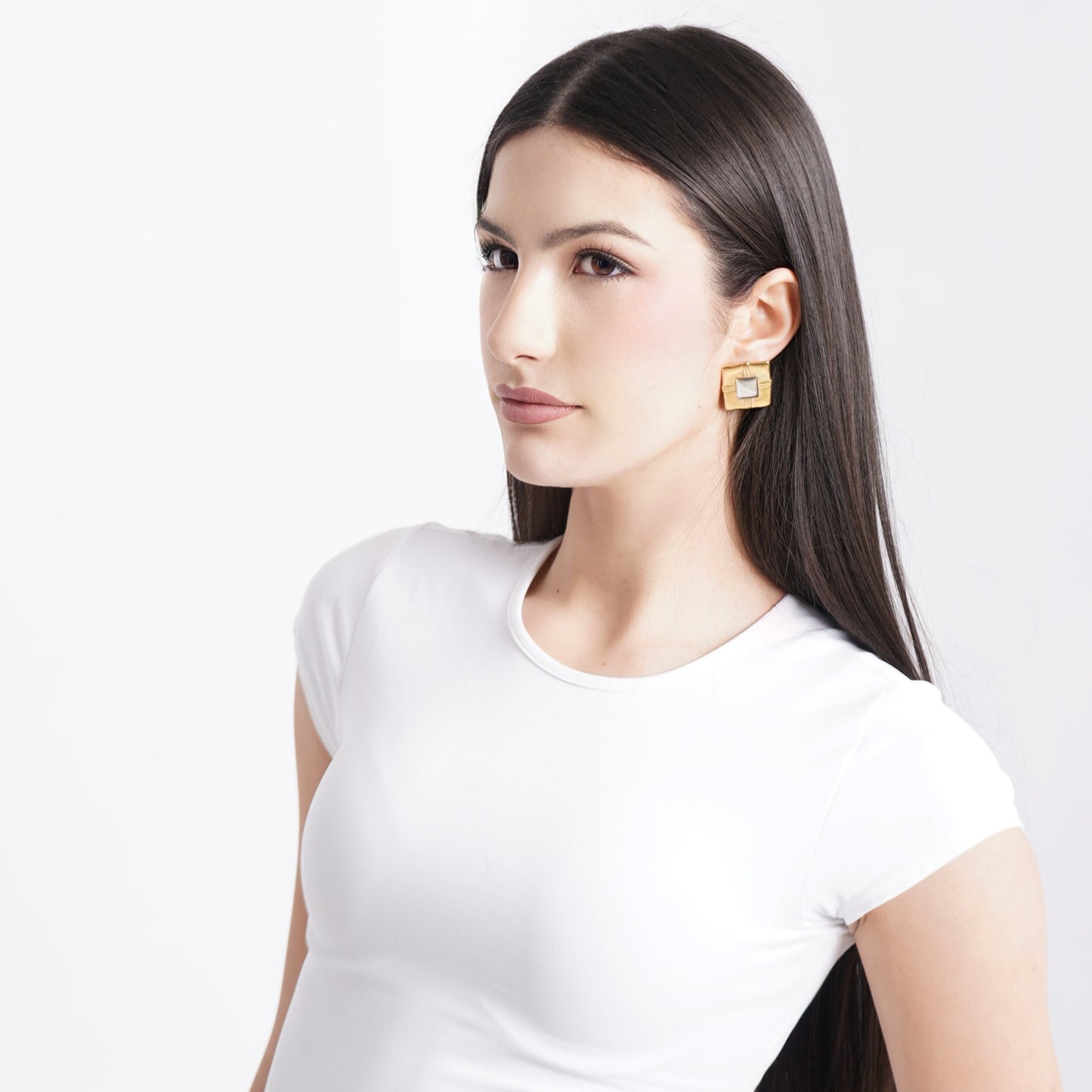 Two-Tone Plate Earrings