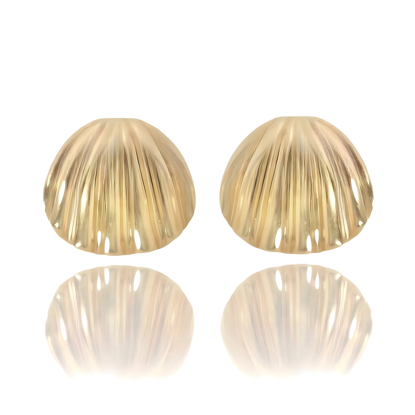 Shell Clasp Earrings